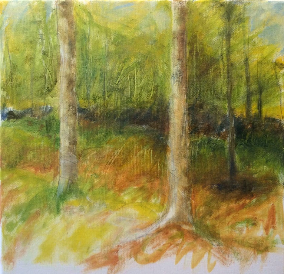Jeanne McMahan Two Yellow Birches in Morning Light 2018