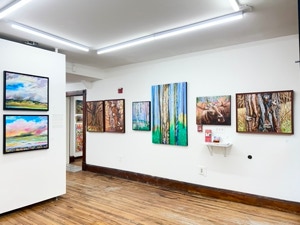 Judy hawkins An Artist's Exploration