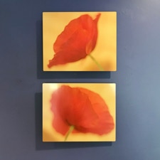 Canal Street Art Gallery Represented Artist Show  at Main Street Arts