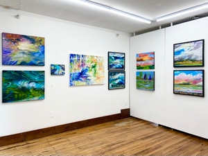 Judy hawkins An Artist's Exploration