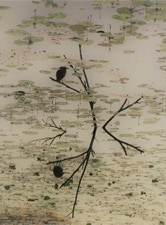 Spaulding Dunbar Early Bird