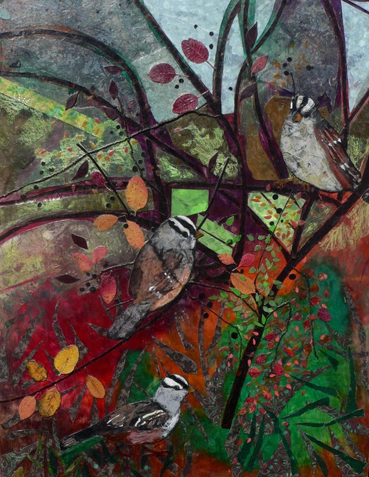 Kim Grall White-crowned Sparrows  2023
