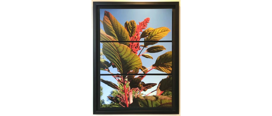 Spaulding Dunbar
Anjali Light
2019 
Original Triptych print: archival ink on archival paper roller mounted to 3/16 in Gator-board with UV Luster film 
31 x 22 in