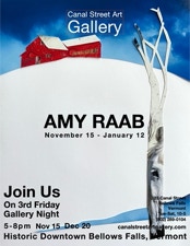 Amy Raabv Solo Show