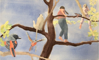 CHARLES W. NORRIS-BROWN Distant Thunder Studio 