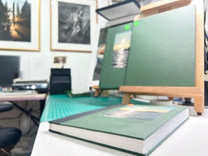 Len Emery Working Artist Program