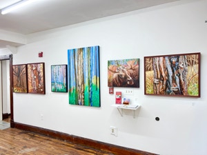 Judy hawkins An Artist's Exploration