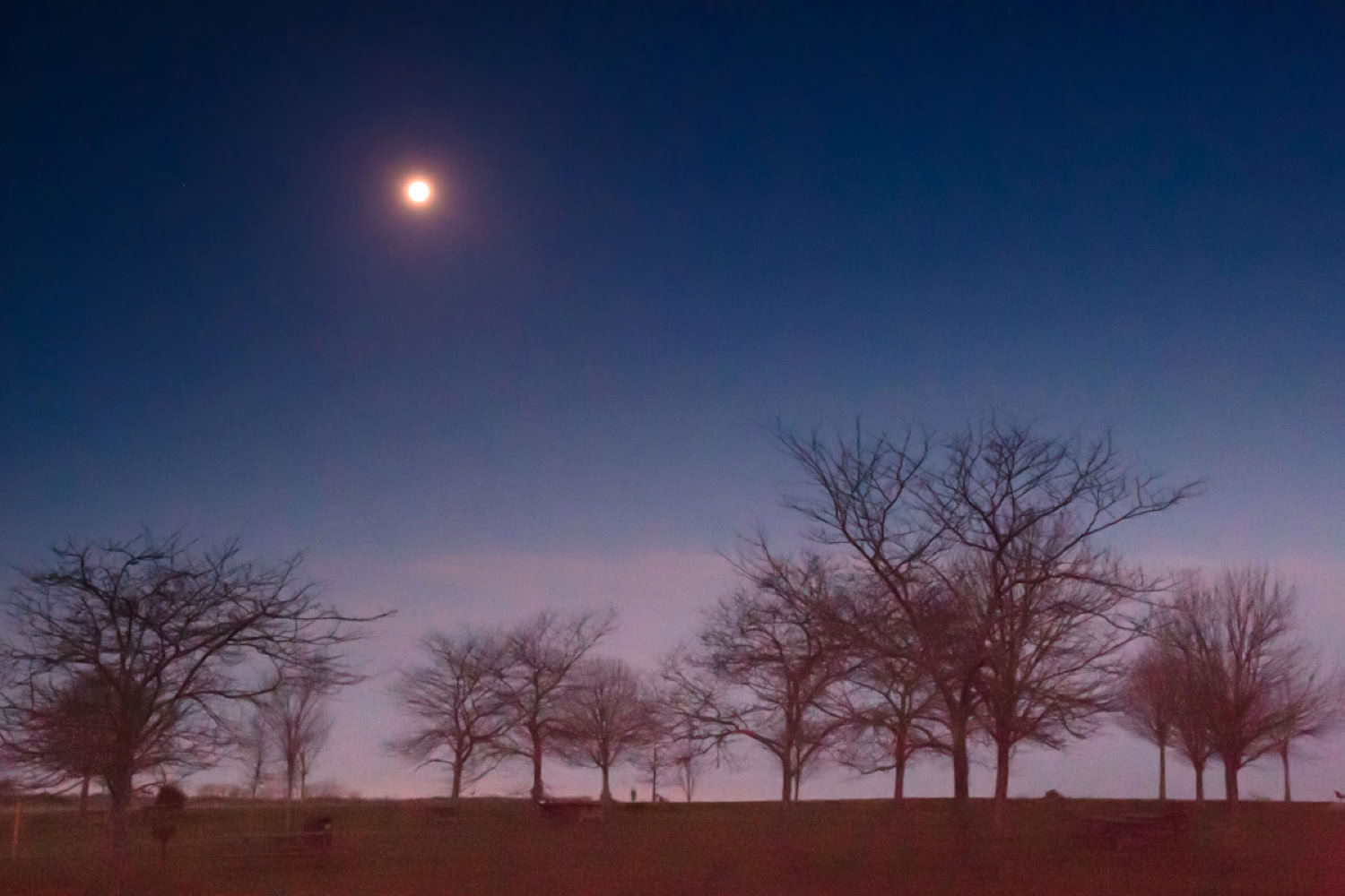 Kathy Carr Full Moon 