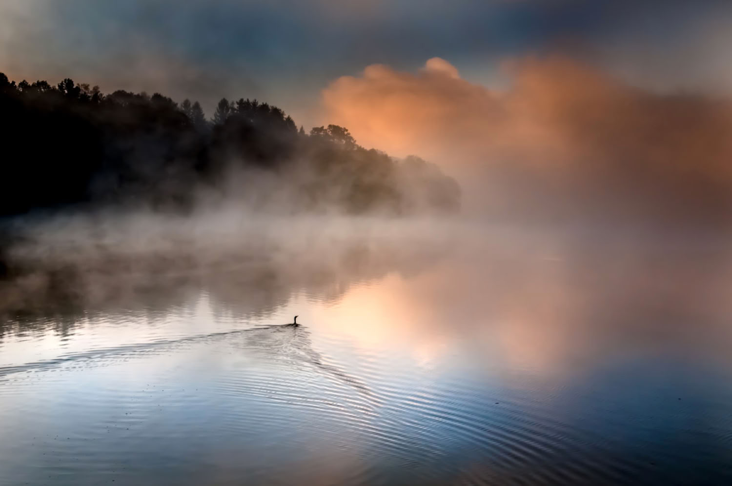 Kathy Carr Solitude 2