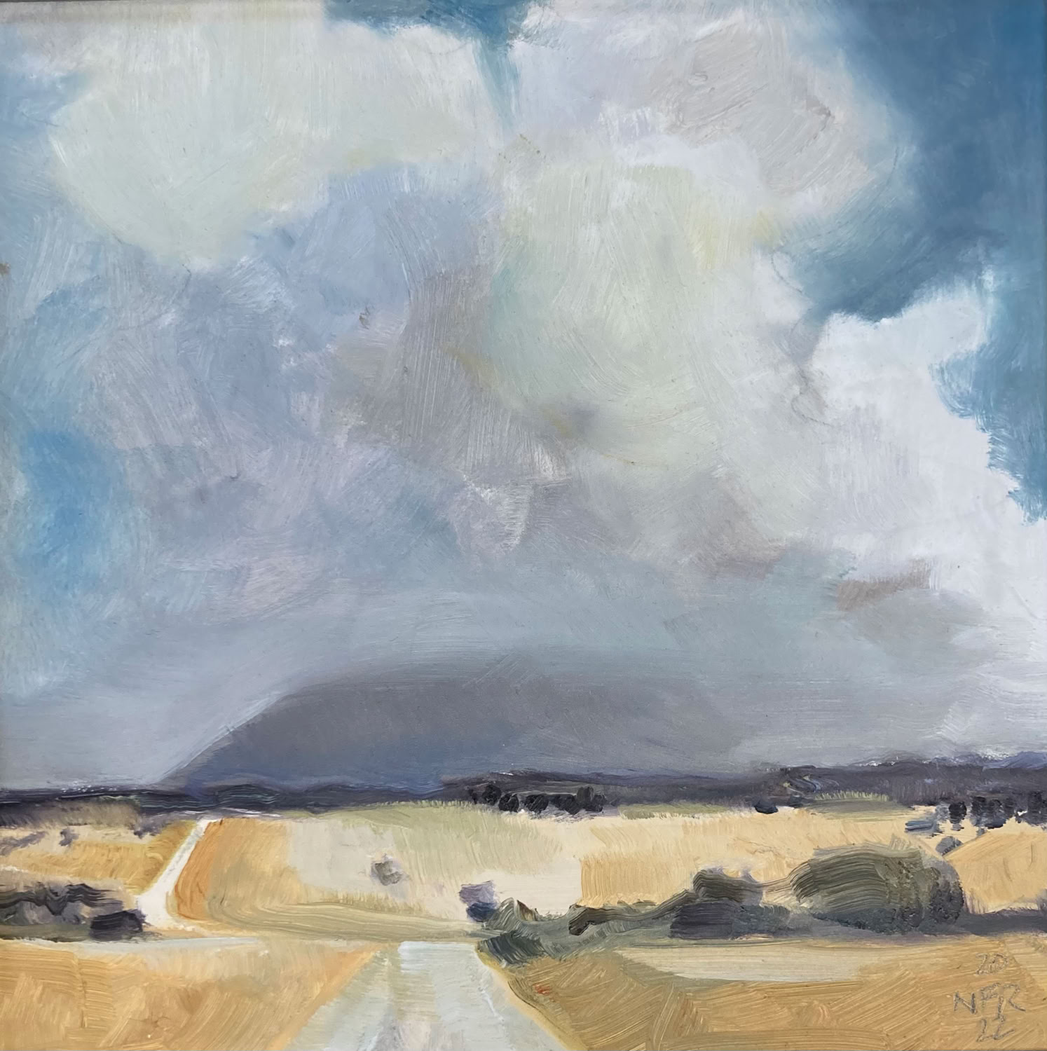 Nancy Fitz-Rapalje Pictured Landscape