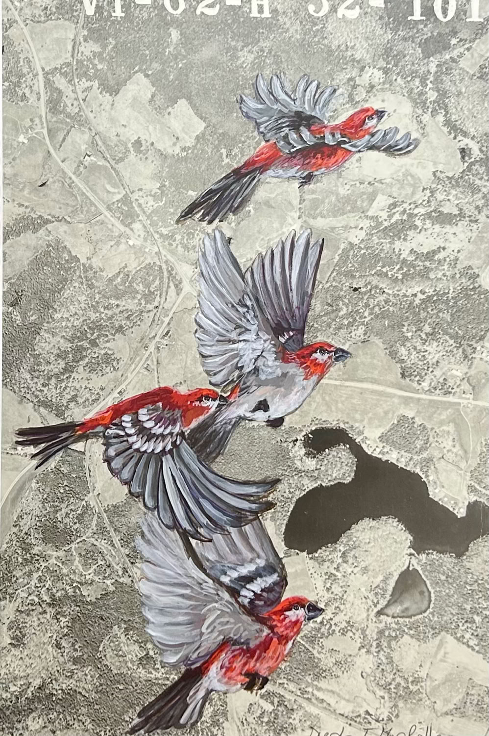 Dierdra Michelle Vermont Map Series, Pine Grosbeaks