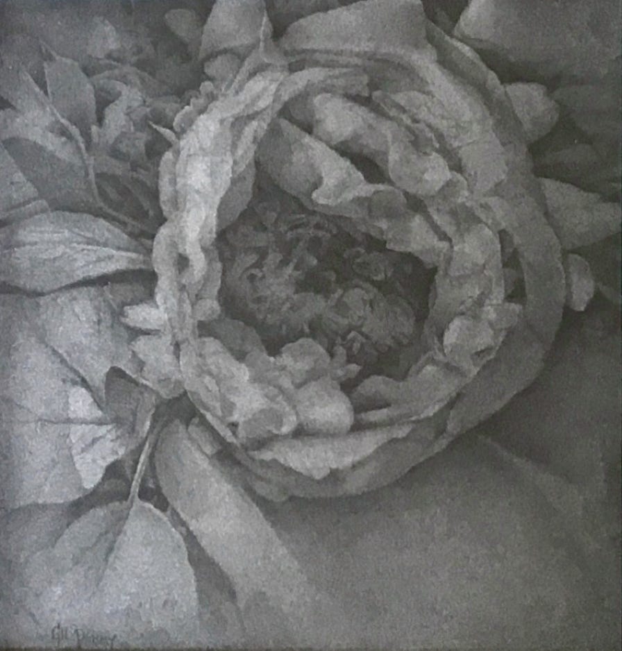 Gil Perry Peony