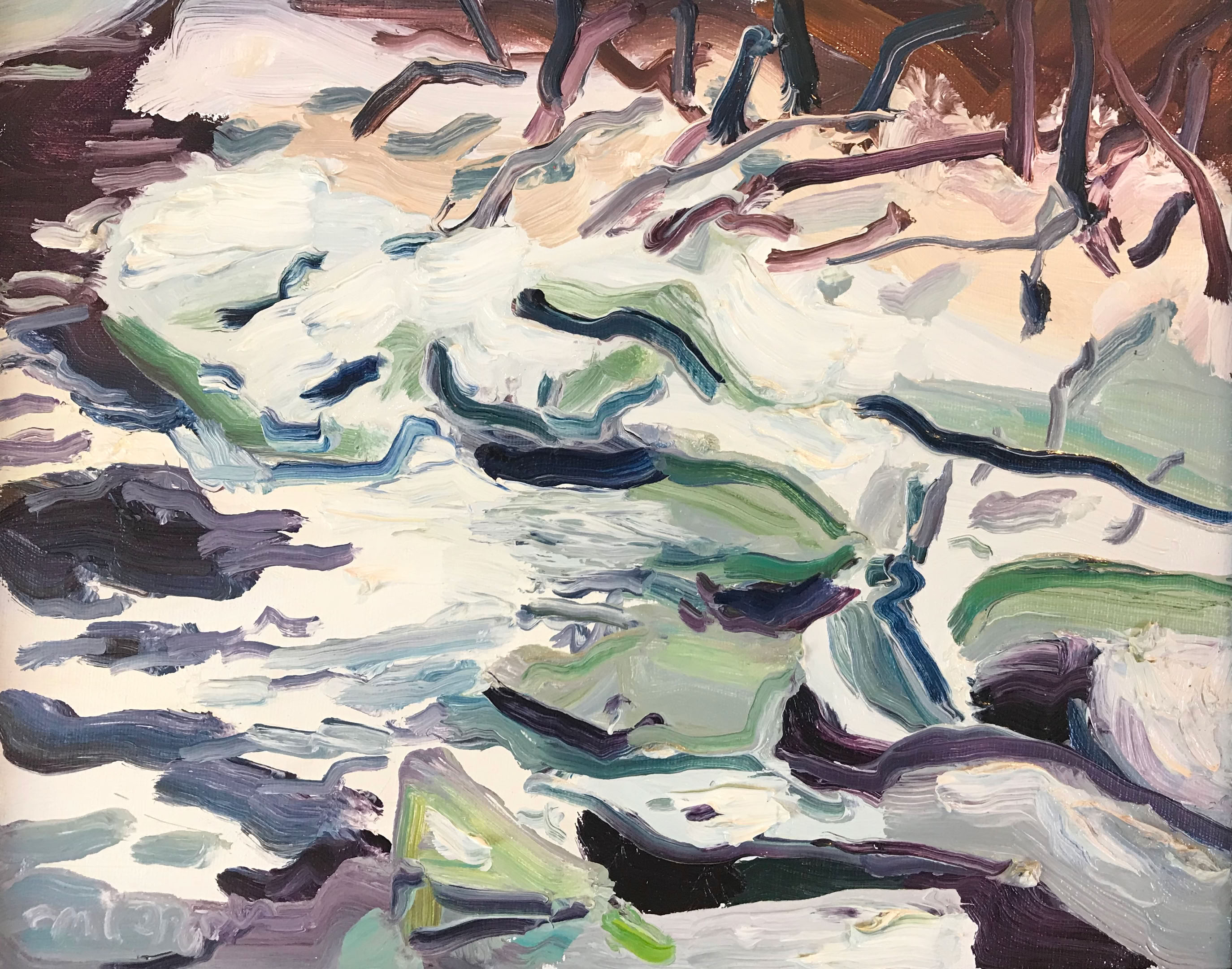 MC Noyes Black River Ice Flow 