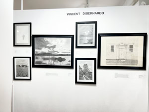Vincent DiBernardo Solo Show