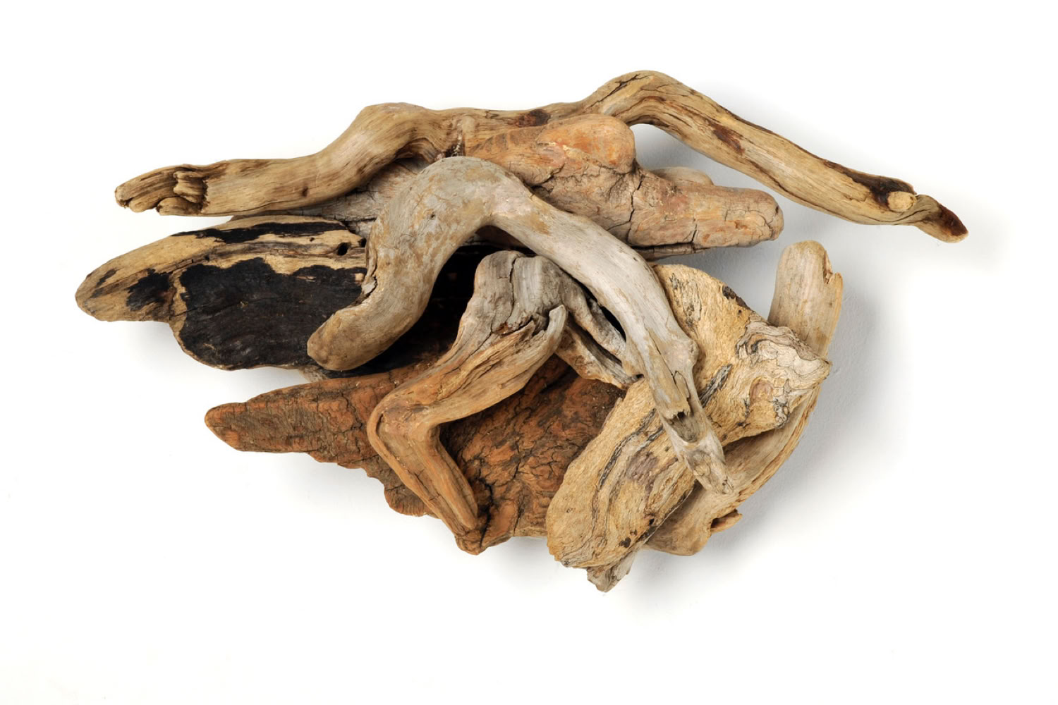 Phyllis Rosser Flying Cloud    2014 