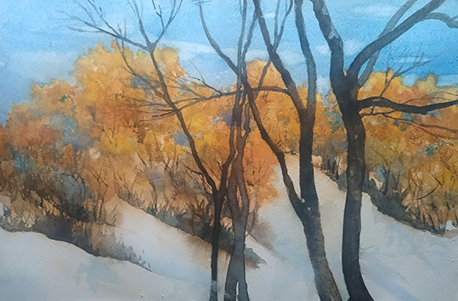 Jean Cannon Shrubberyin Snow