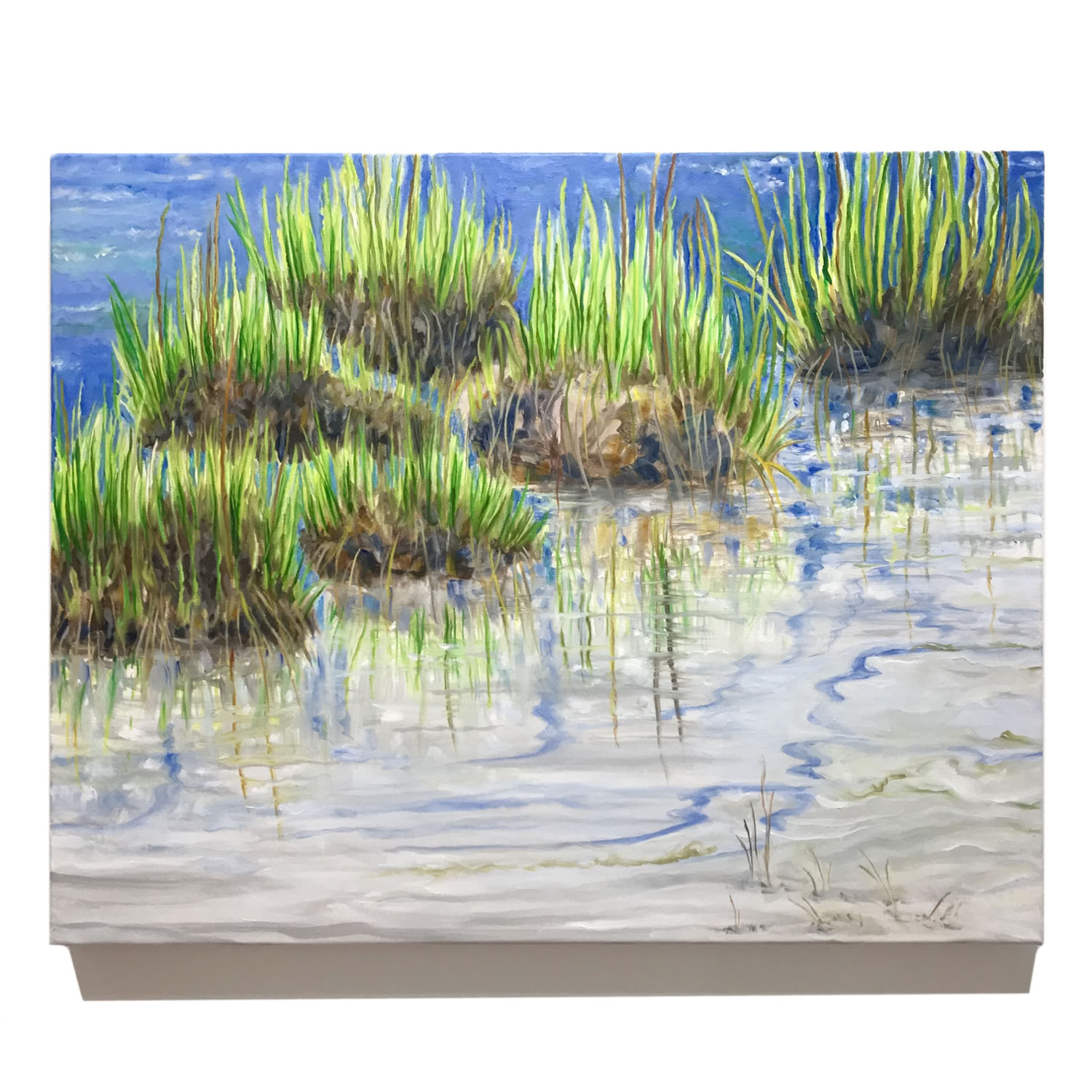 judy-hawkins-at-sand-hill-marsh