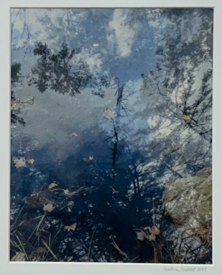 Medora Hebert Untitled