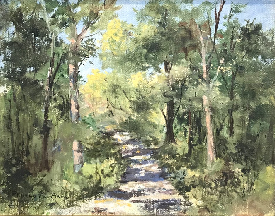 Penelope Arms Pathway Shadows