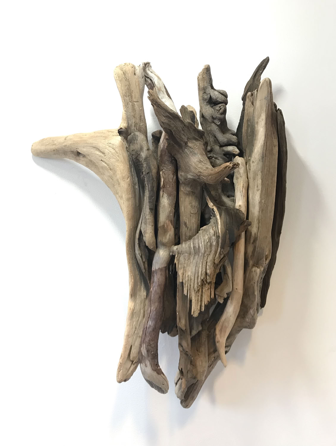 Phyllis Rosser Greater Falls