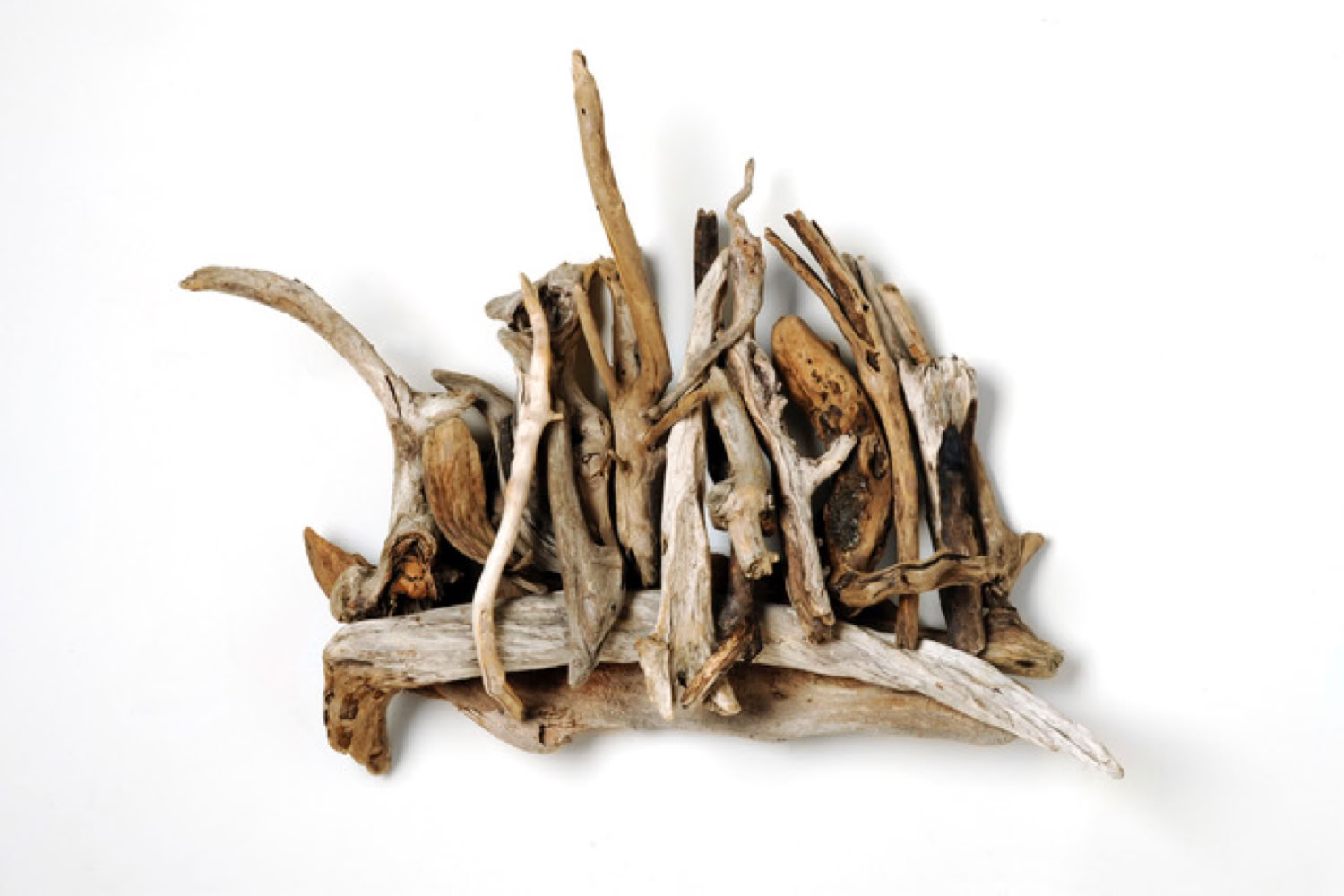 Phyllis Rosser Sailing Forth