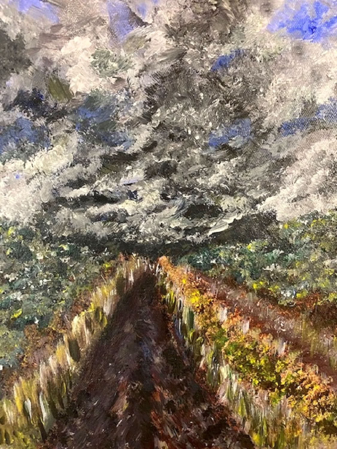 susan-macneil_angry-albuquerque-sky_2020_acrylic-on-canvas_14x11in