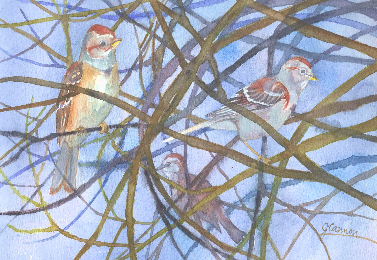 Jean Cannon Tree Sparrows