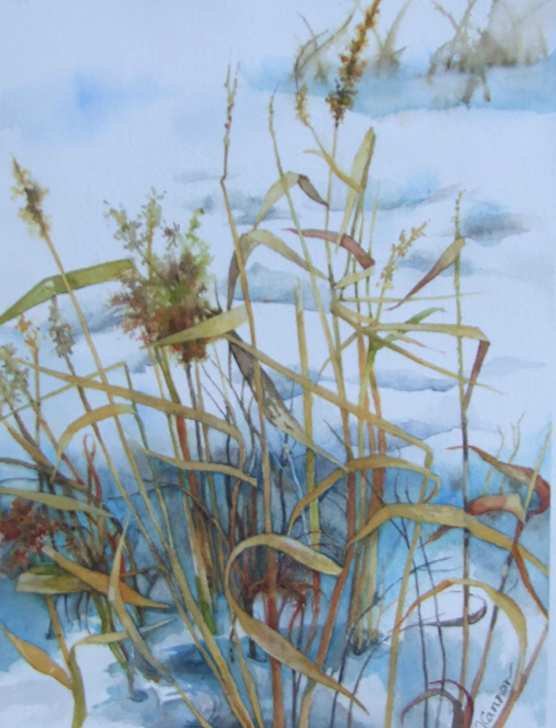 Jean Cannon Winter Weeds