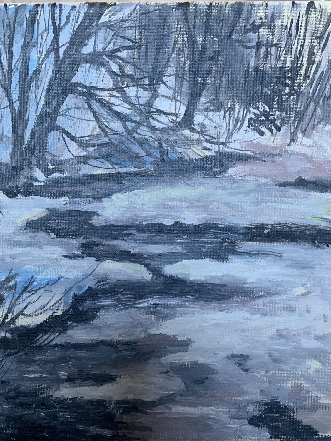 penelope-arms_january_2020