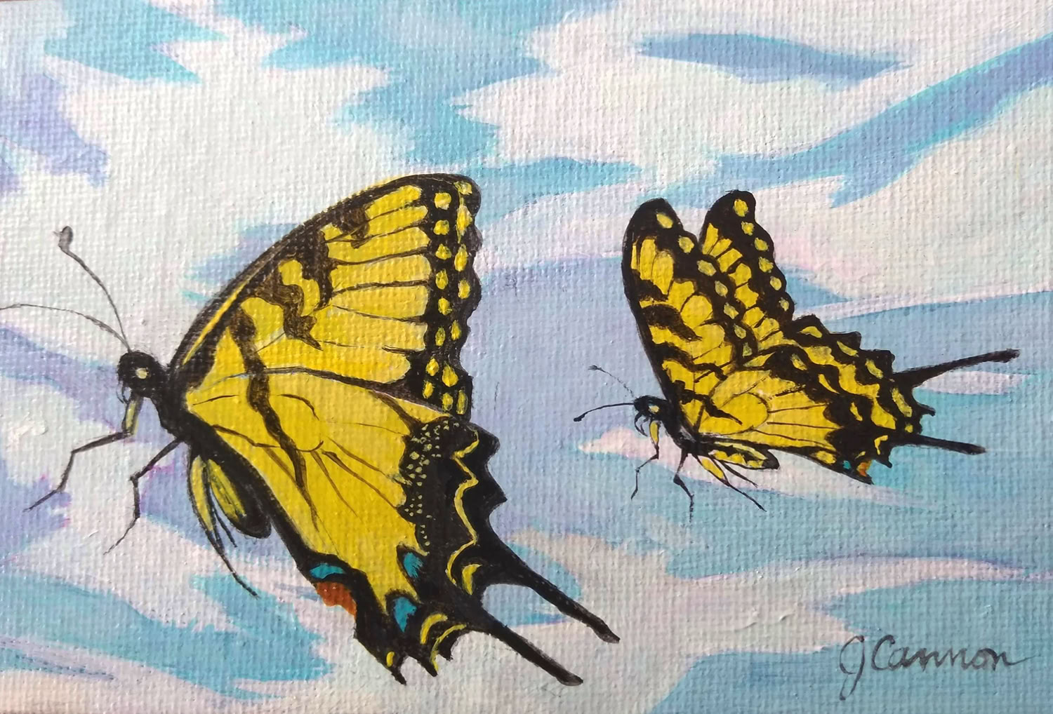 Jean Cannon Tiger Swallowtails