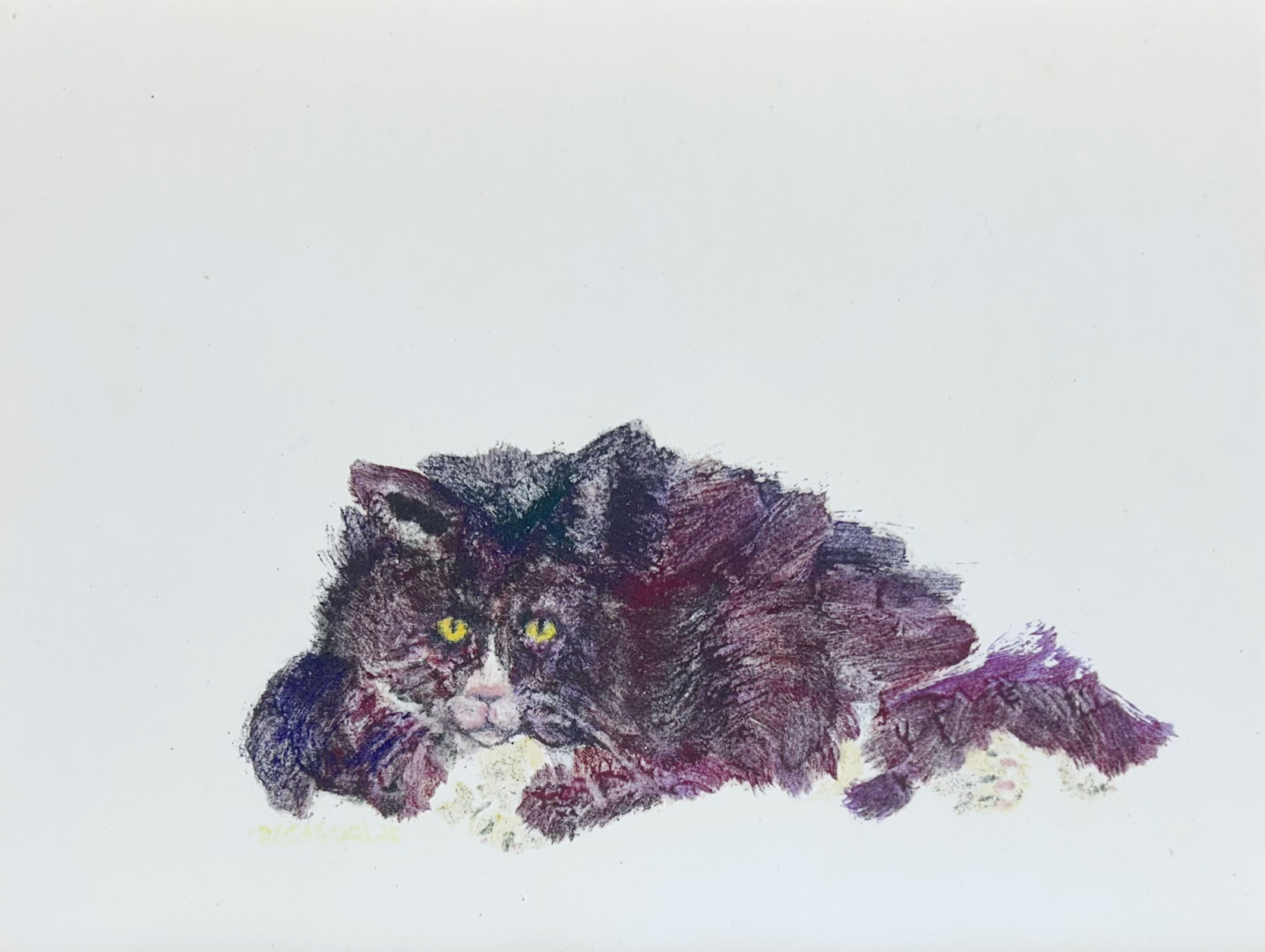 MC Noyes Cats, Cats & Cats 12