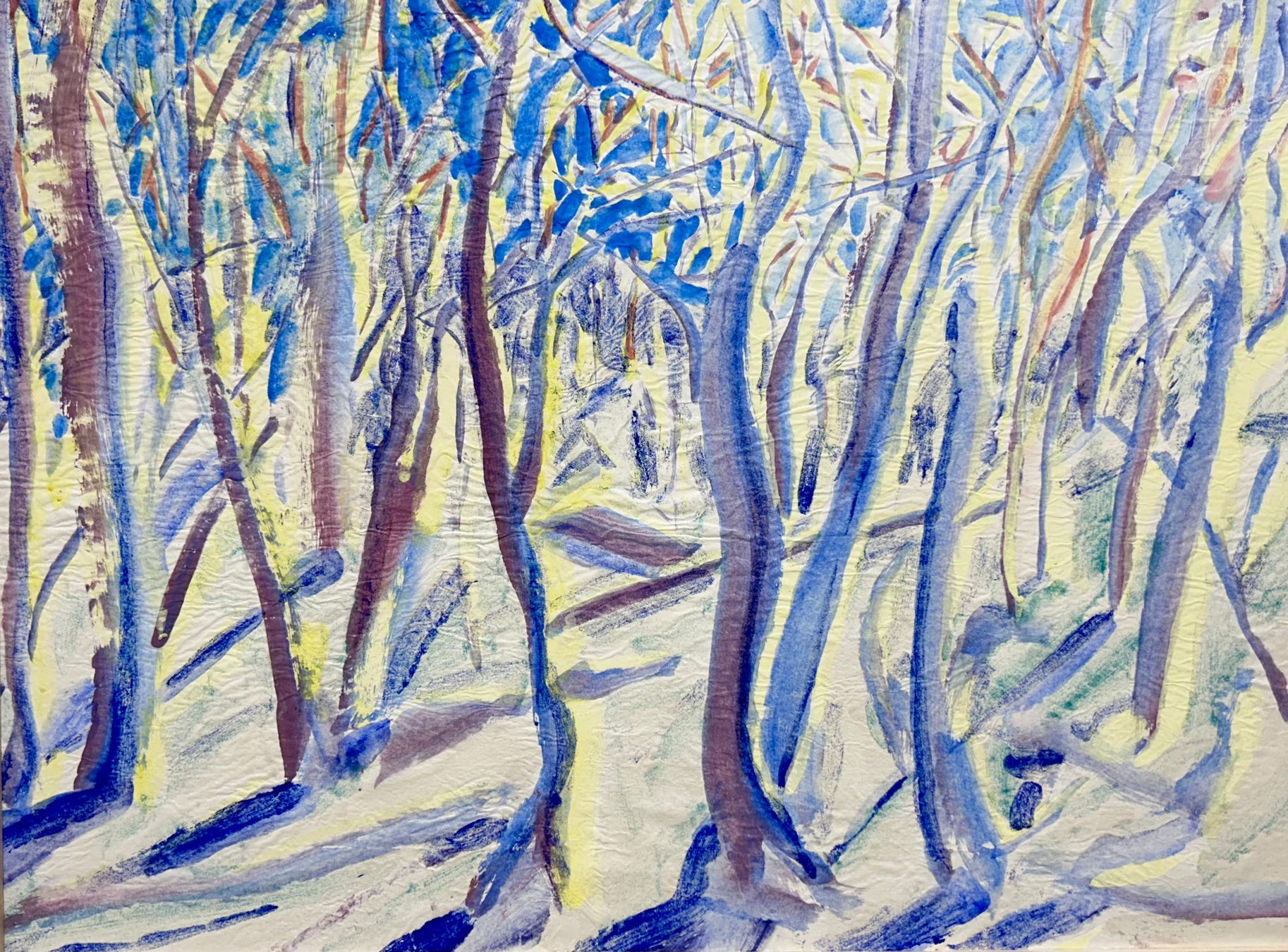MC Noyes Vermont Trees 60