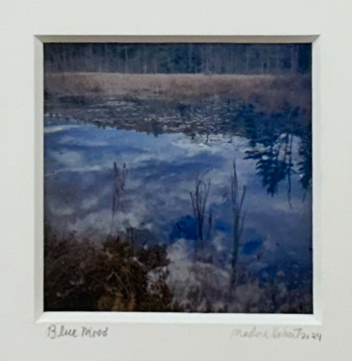 Medora Hebert Blue Mood