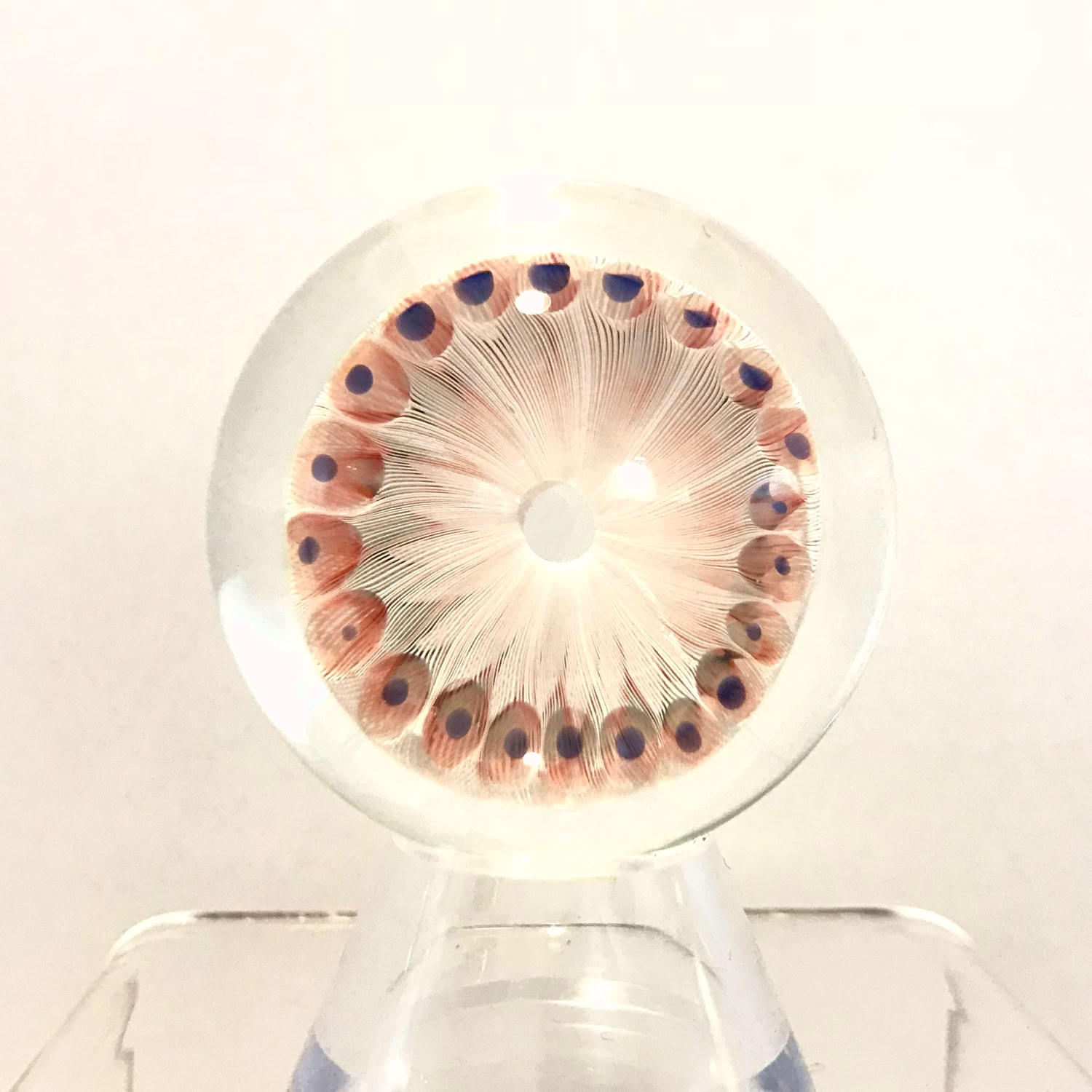 Aaron Slater Floater