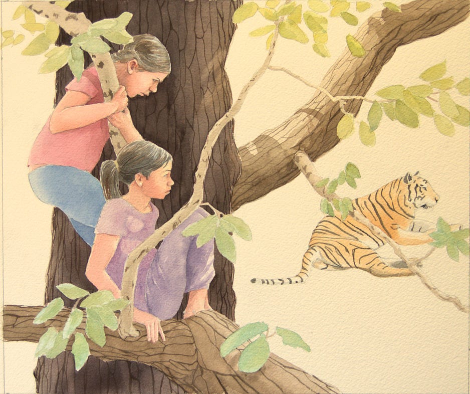 Charles Norris-Brown Did Tiger Take the Rain?, cover 