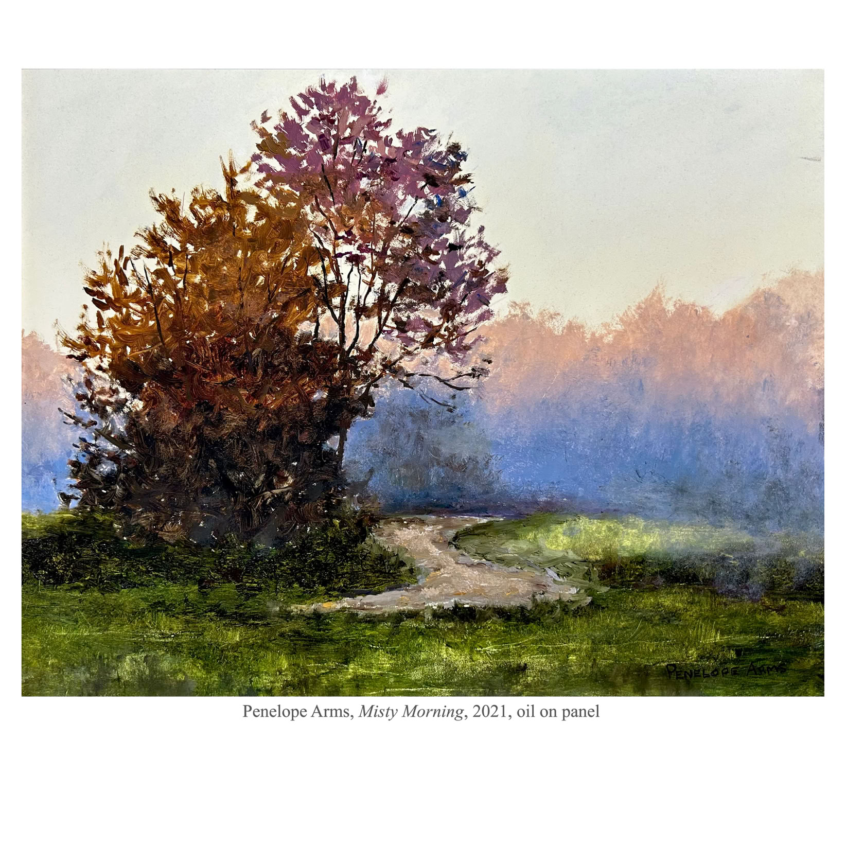 PENELOPE ARMS Solo Spotlight