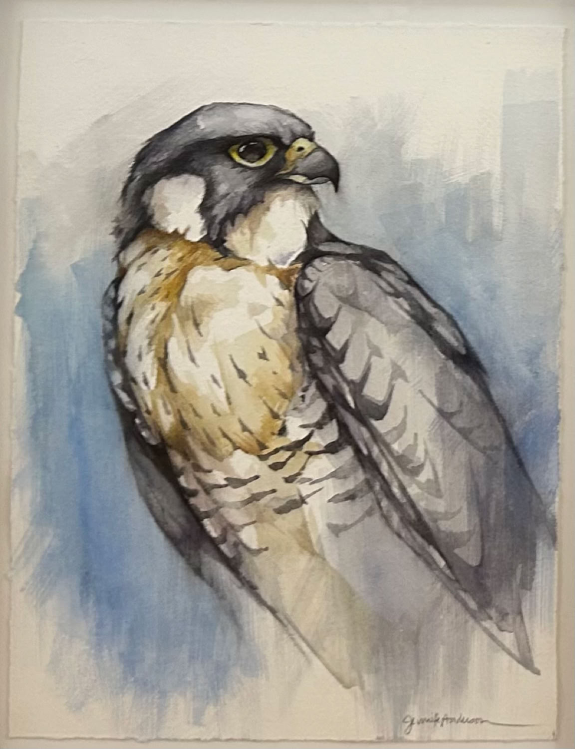 Jennifer L.Anderson A Pensive Moment (Peregrine Falcon) 