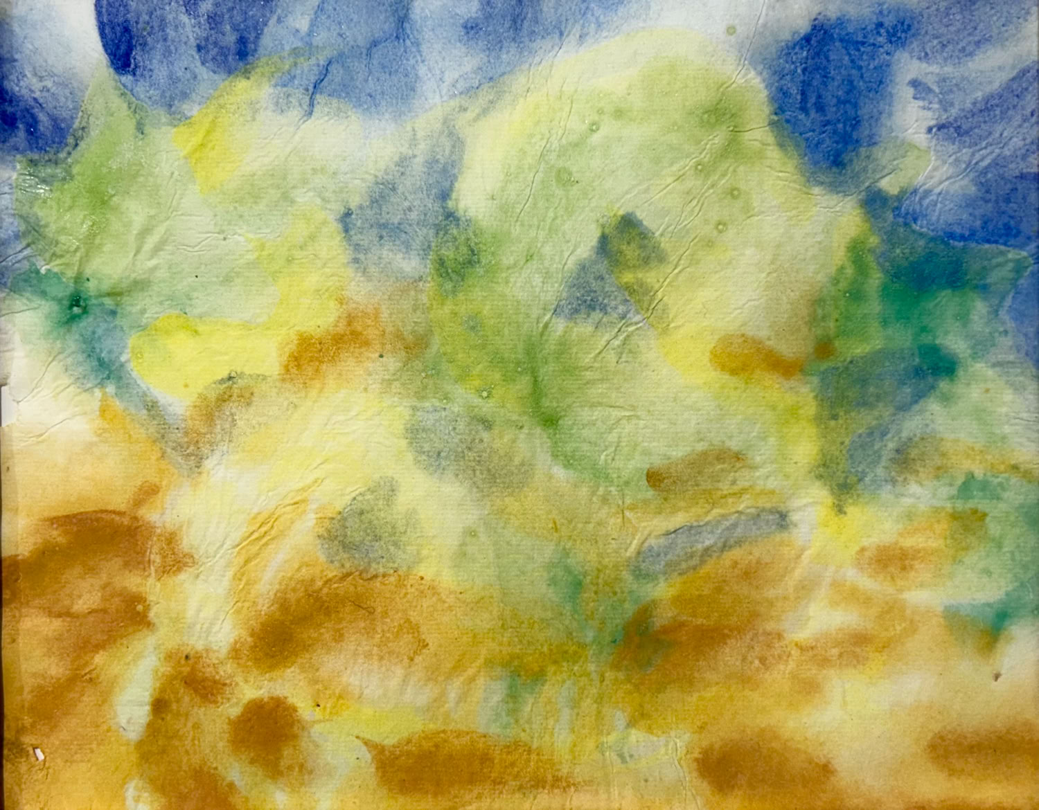 MC Noyes Vermont Trees 65