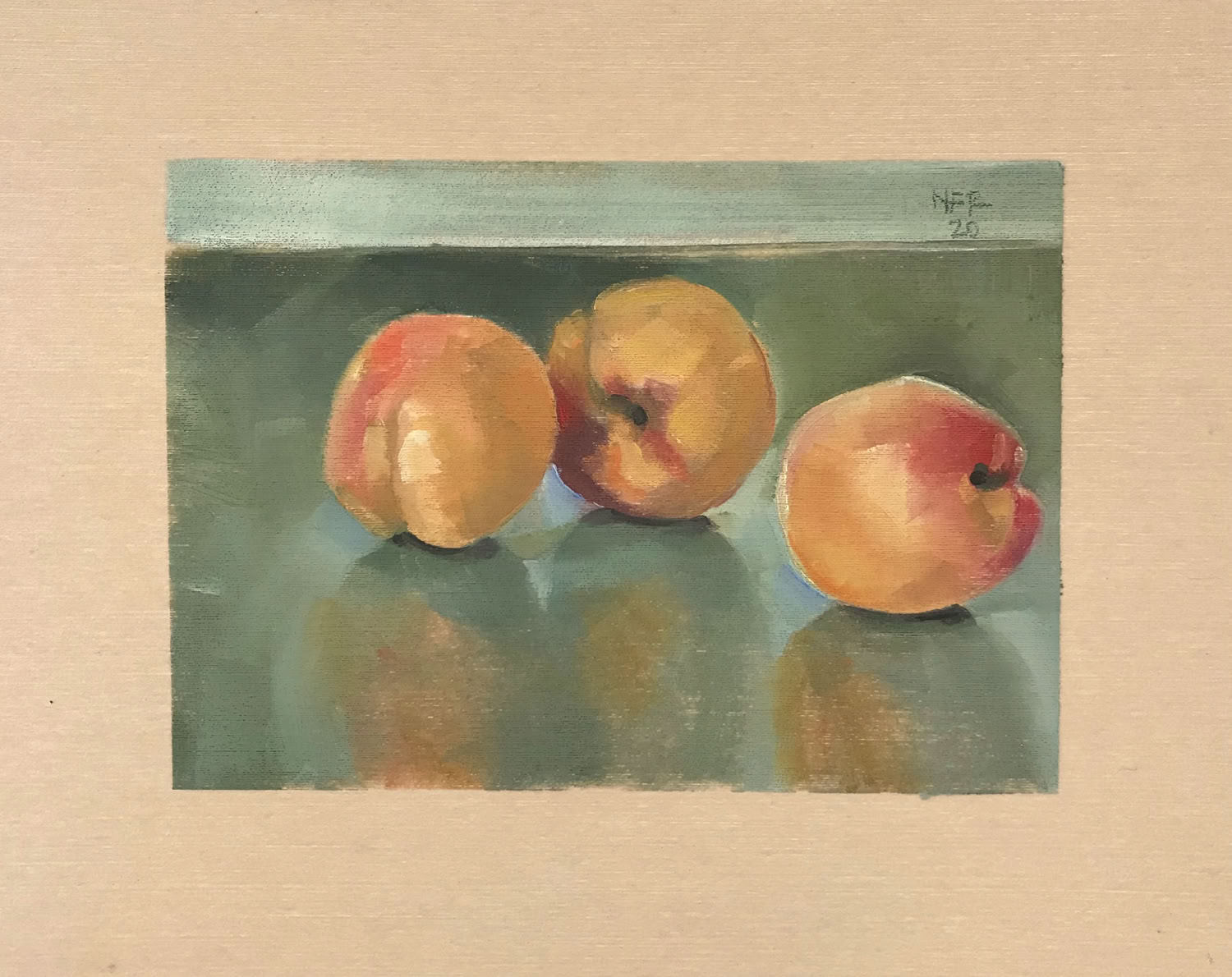 Nancy Fitz-Rapalje Nectarines