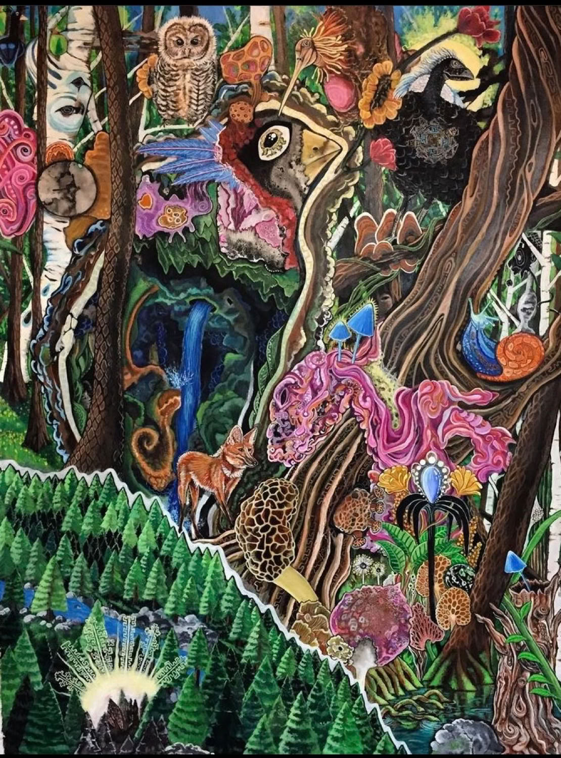 Wyatt R Kail Deep Forest