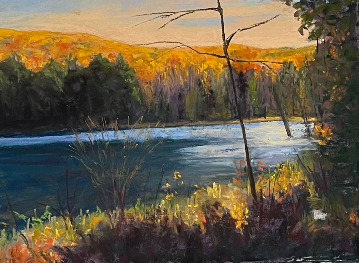 Deedee Jones Afternoon Delight