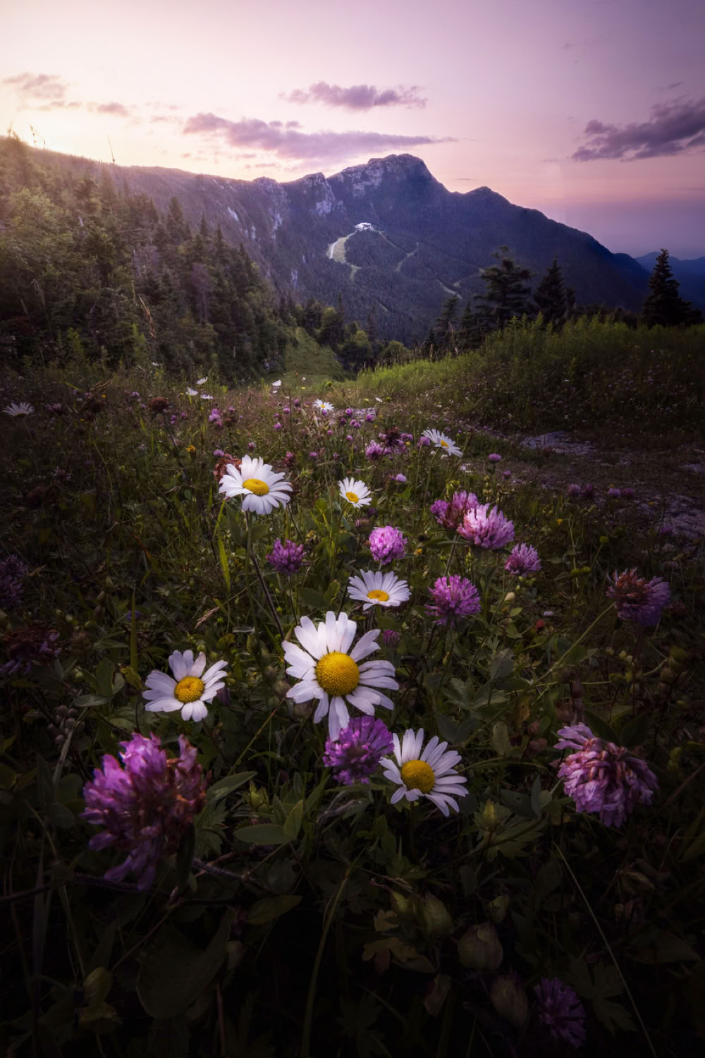 Dorian Sanders Immovable Weight 