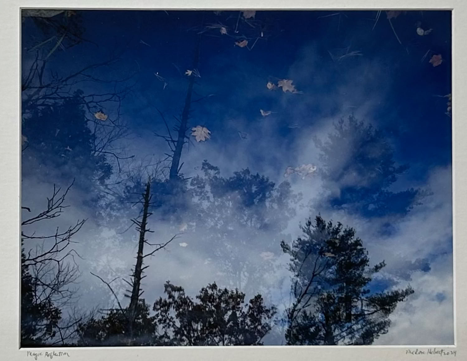 Medora Hebert Magic Reflector