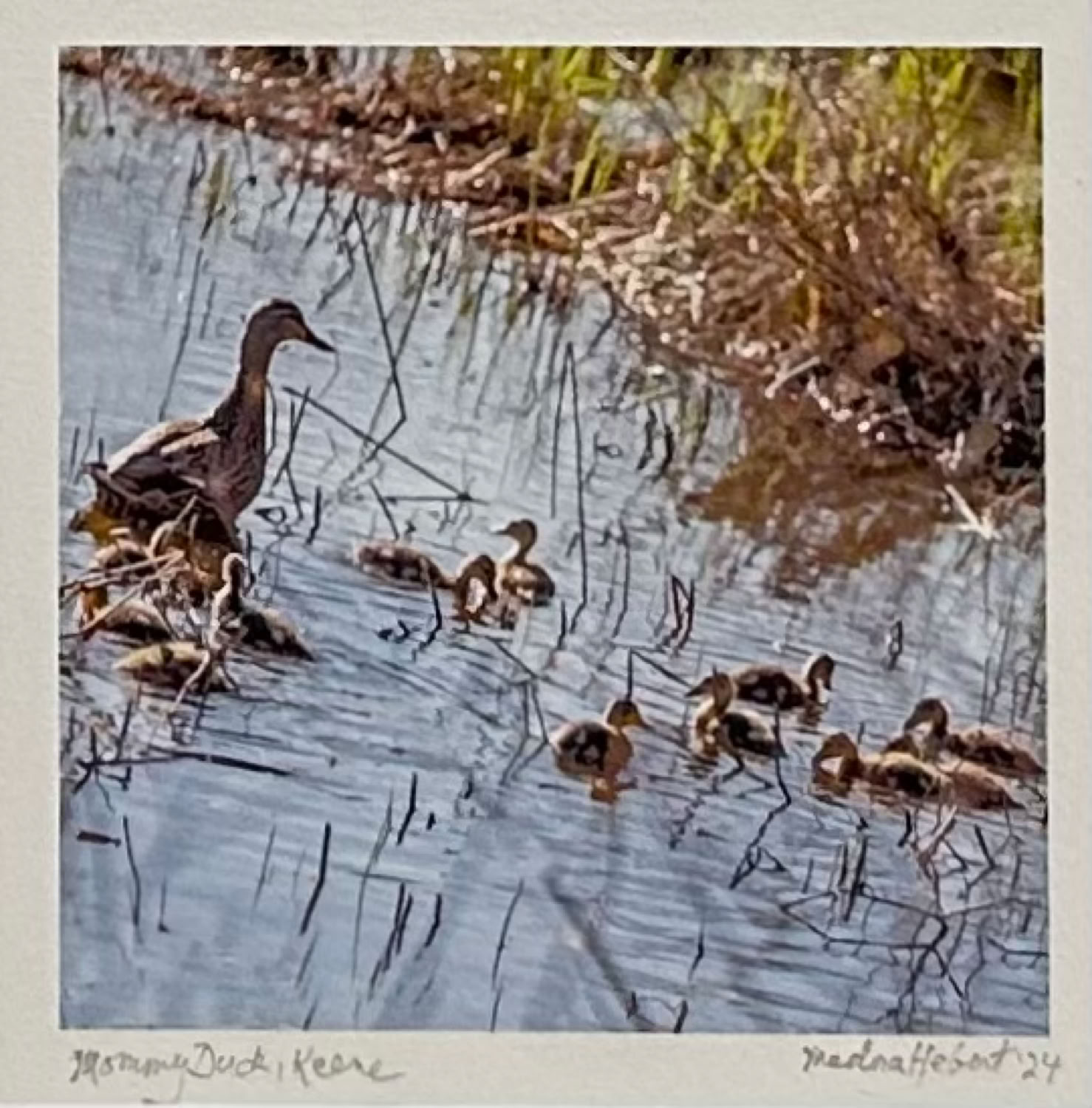 Medora Hebert Mommy Duck, Keene 