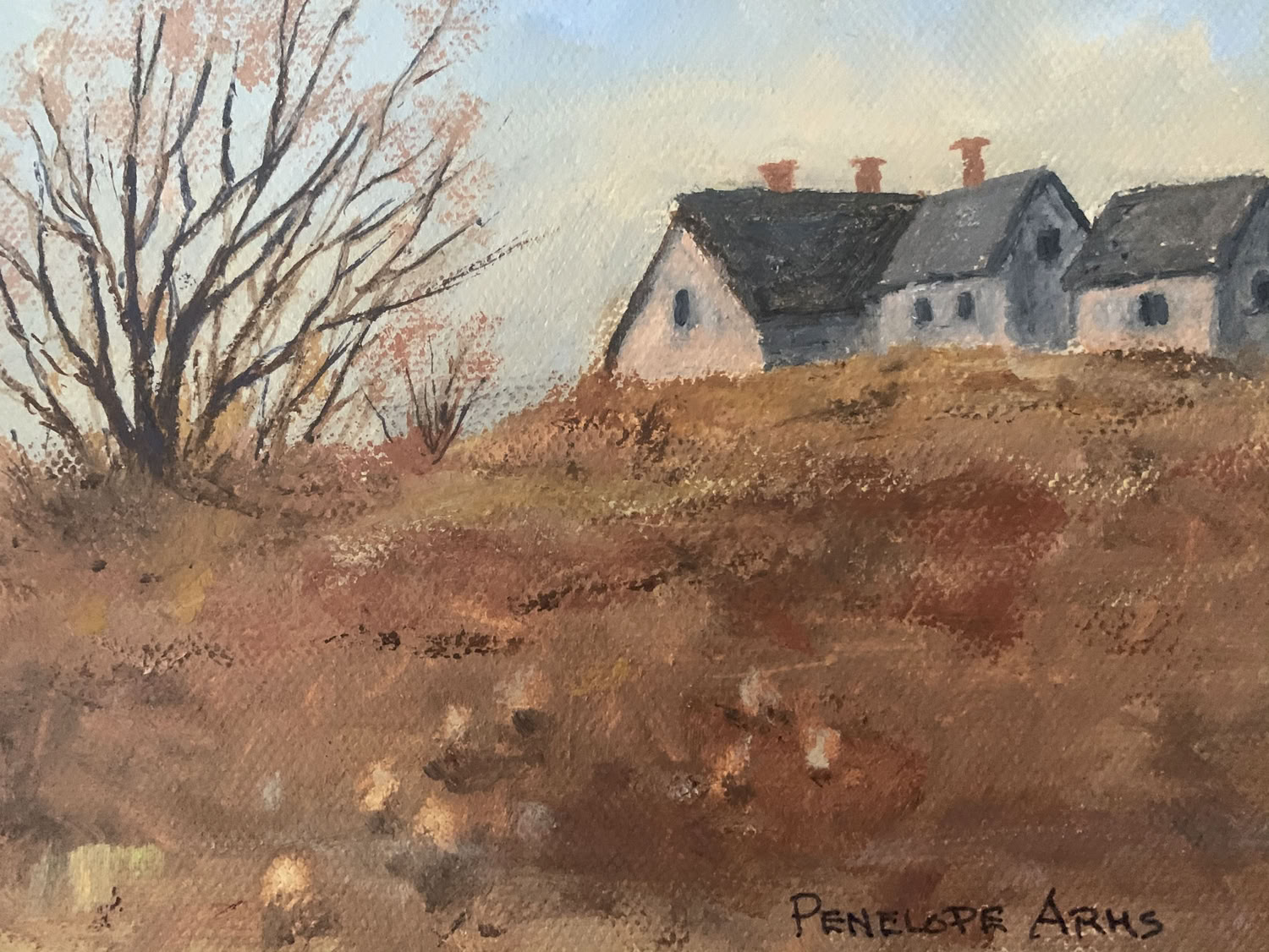 penelope-arms_hilltop_2020