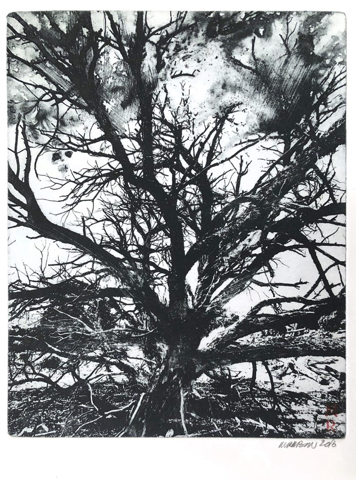 Melissa Rubin Burning Bush #1