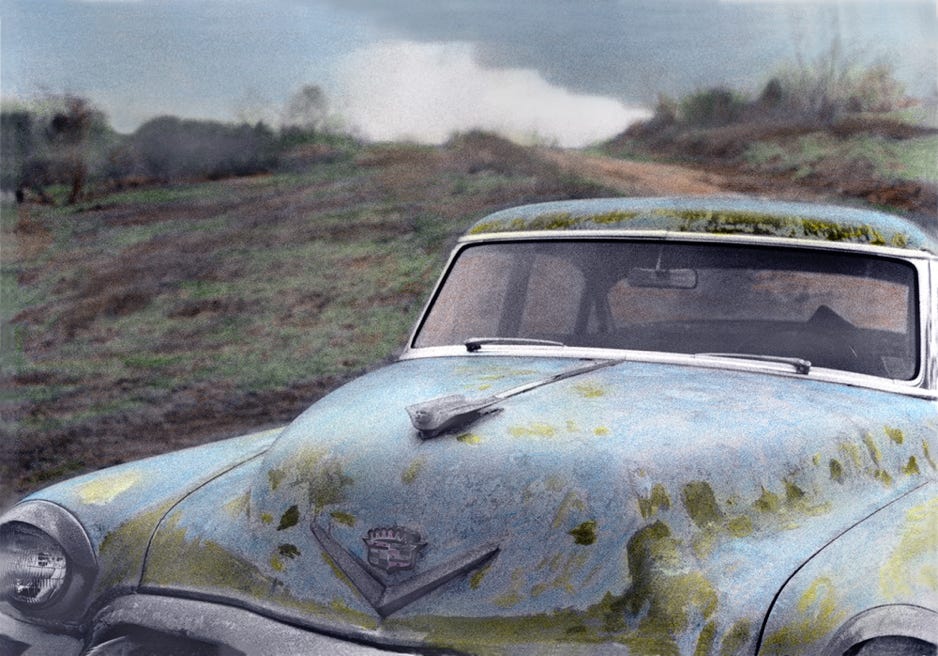 maurine-sutter_discovery