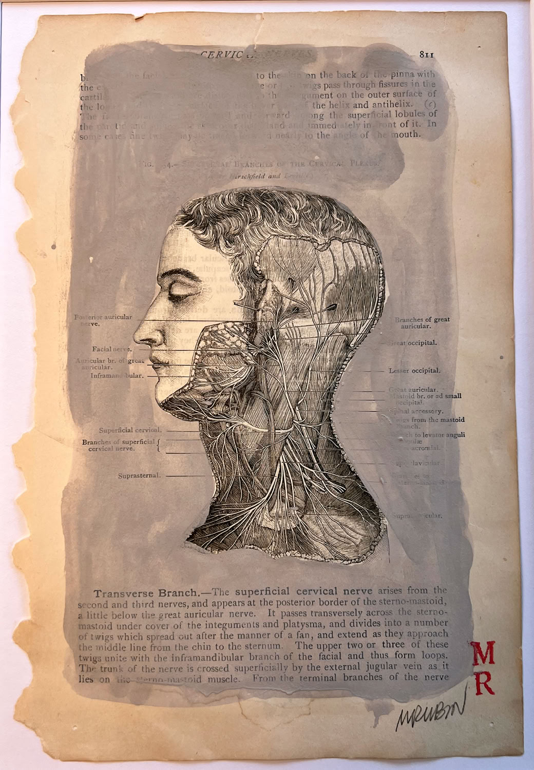 melissa-rubin-transverse-branch-head-in-a-cloud