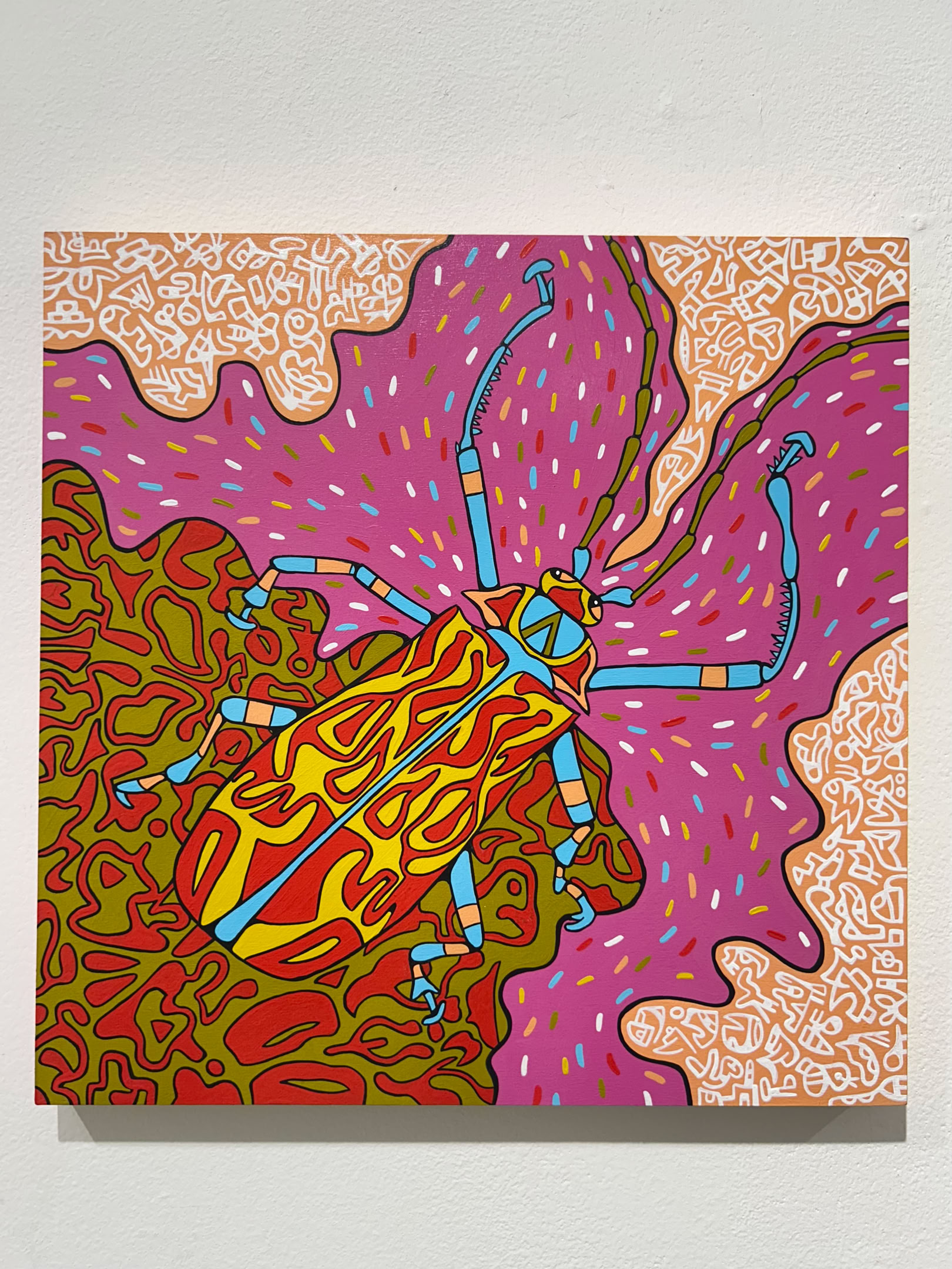 Mindy Fisher, Harlequin Beetle