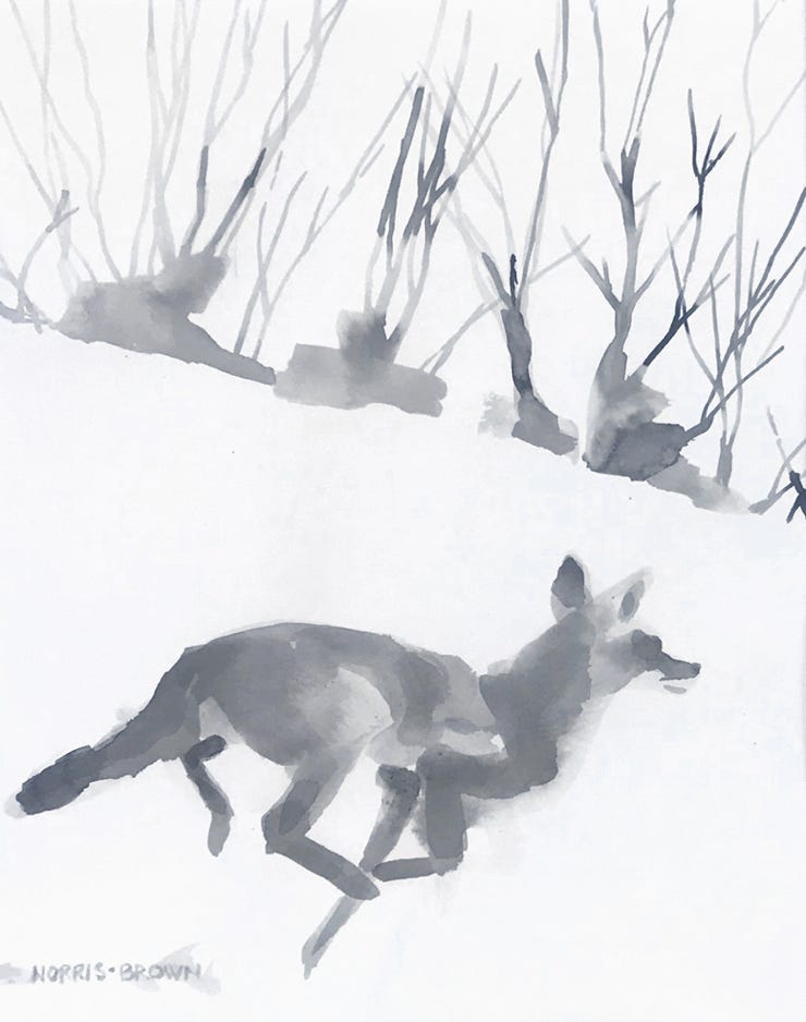 Charles Norris-Brown Running Coyote